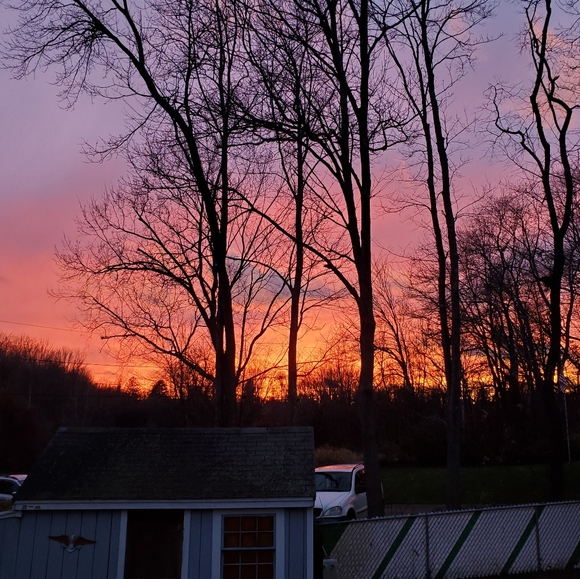 ✈ Fast Shipper ✈ - Picture 4 of 8